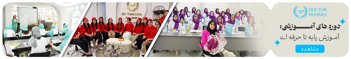 دوره ها و ورکشاپ های دکتر فرنوشا خانی